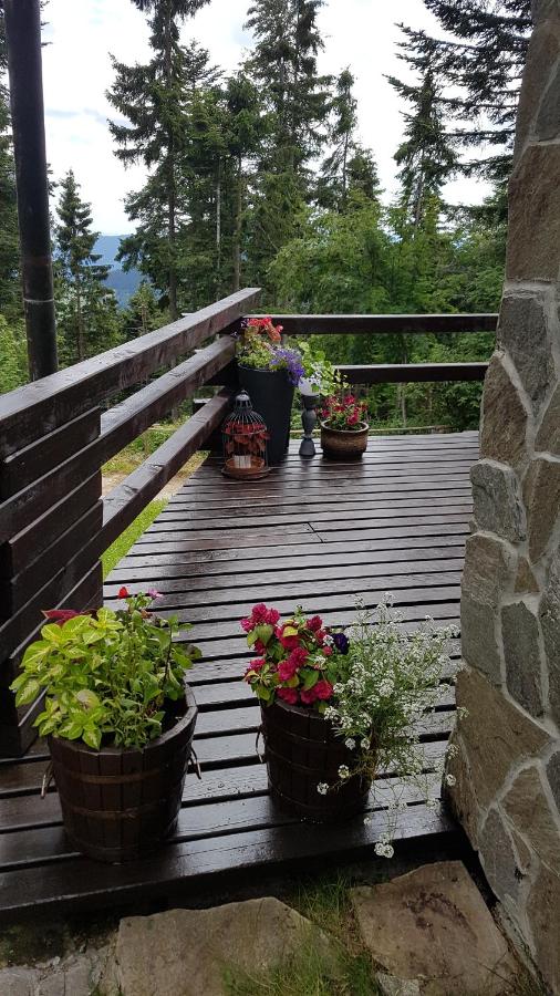 Superior Chalet