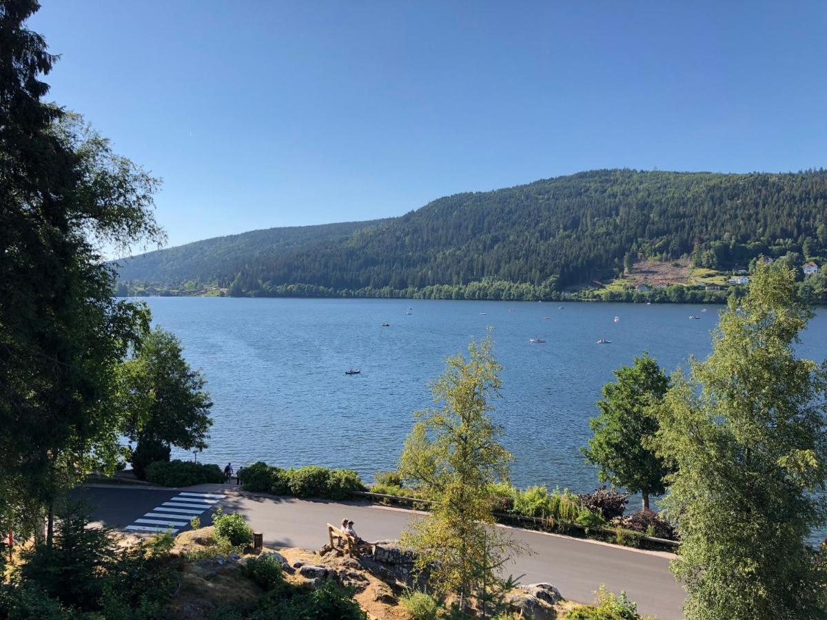 Gerardmer : Residence "l'eau vive" - B&B Gérardmer