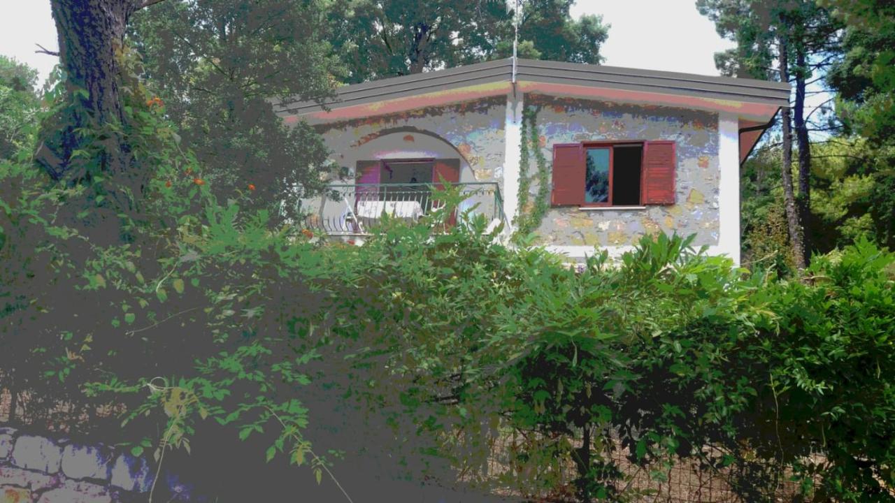 Villa Luisa sul Mare - Chambres d’hôtes Capitello