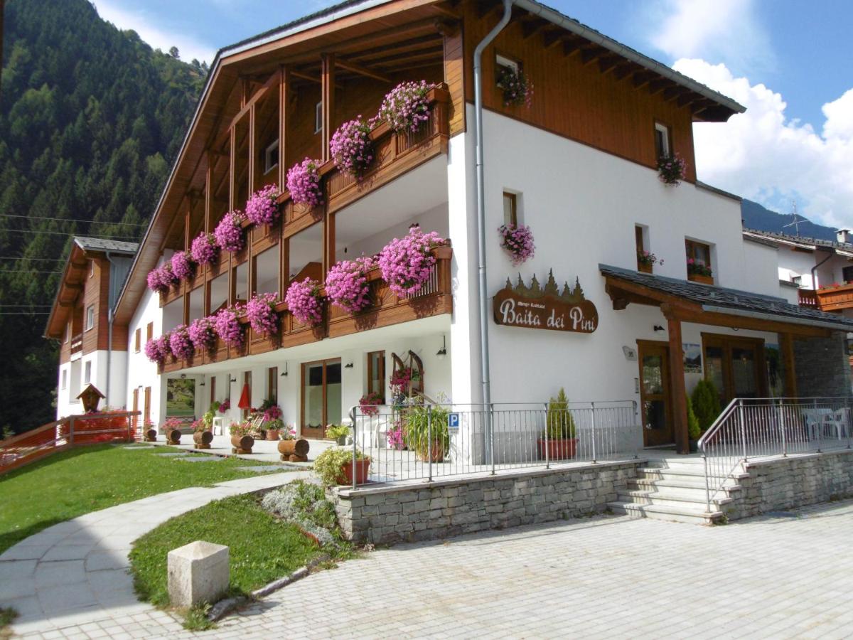Baita dei Pini - B&B