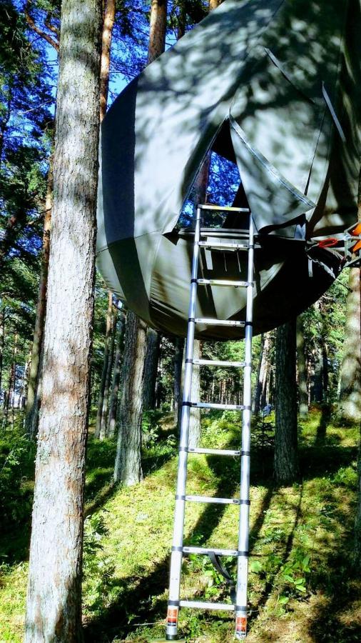 Feeling cone - B&B Jūrmala