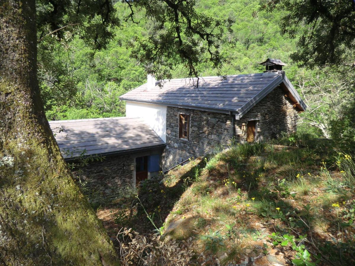 Transgardon B&B en Cévennes - B&B