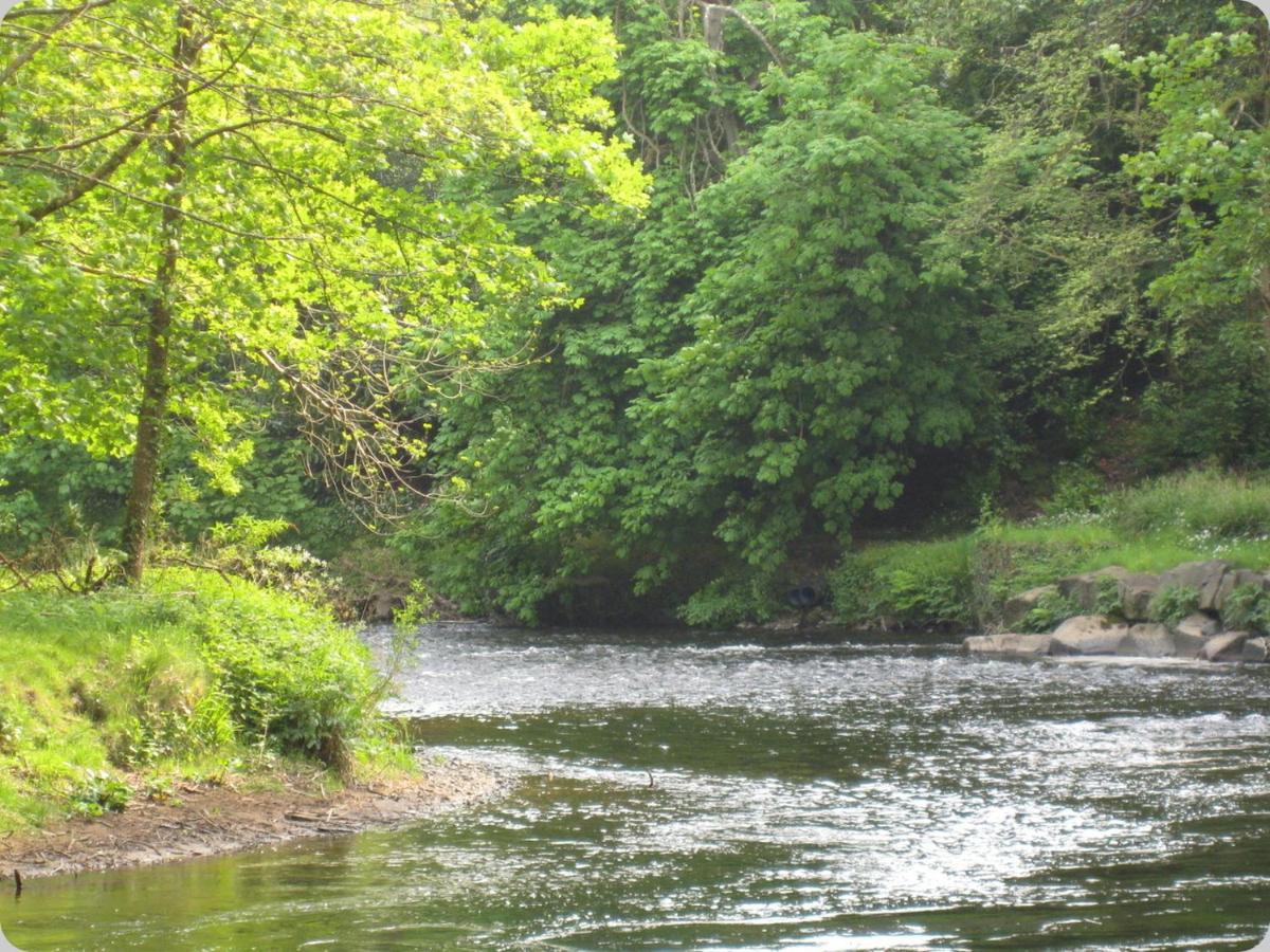 Doonbank Cottage Bothy - B&B Ayr
