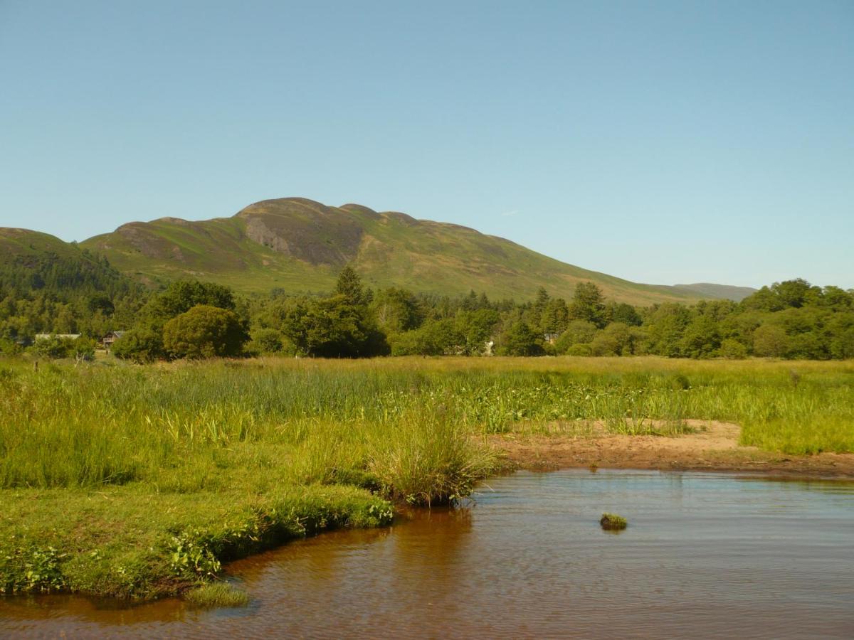 Birchwood Guest Lodge - B&B Balmaha