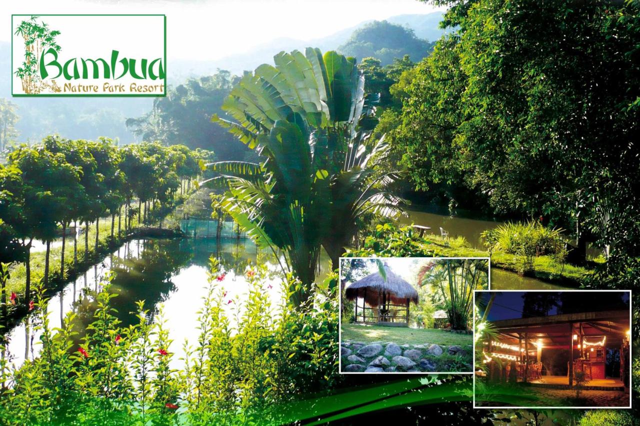 B&B Puerto Princesa - Bambua Nature Cottages - Bed and Breakfast Puerto Princesa