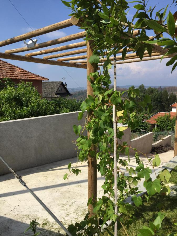 Vale Coelhos Casa de Campo - Bed and Breakfast Sarnadela