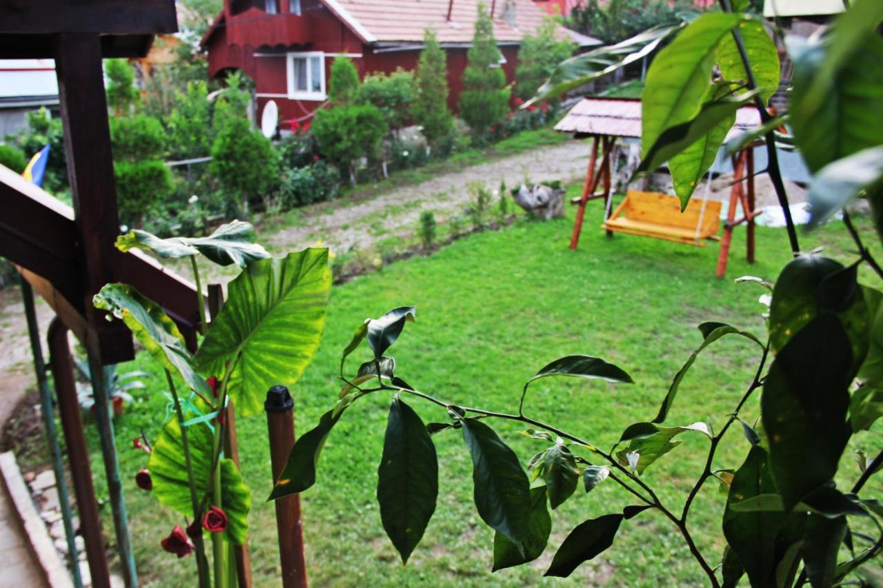 Panaite’s Home - Ferienwohnung