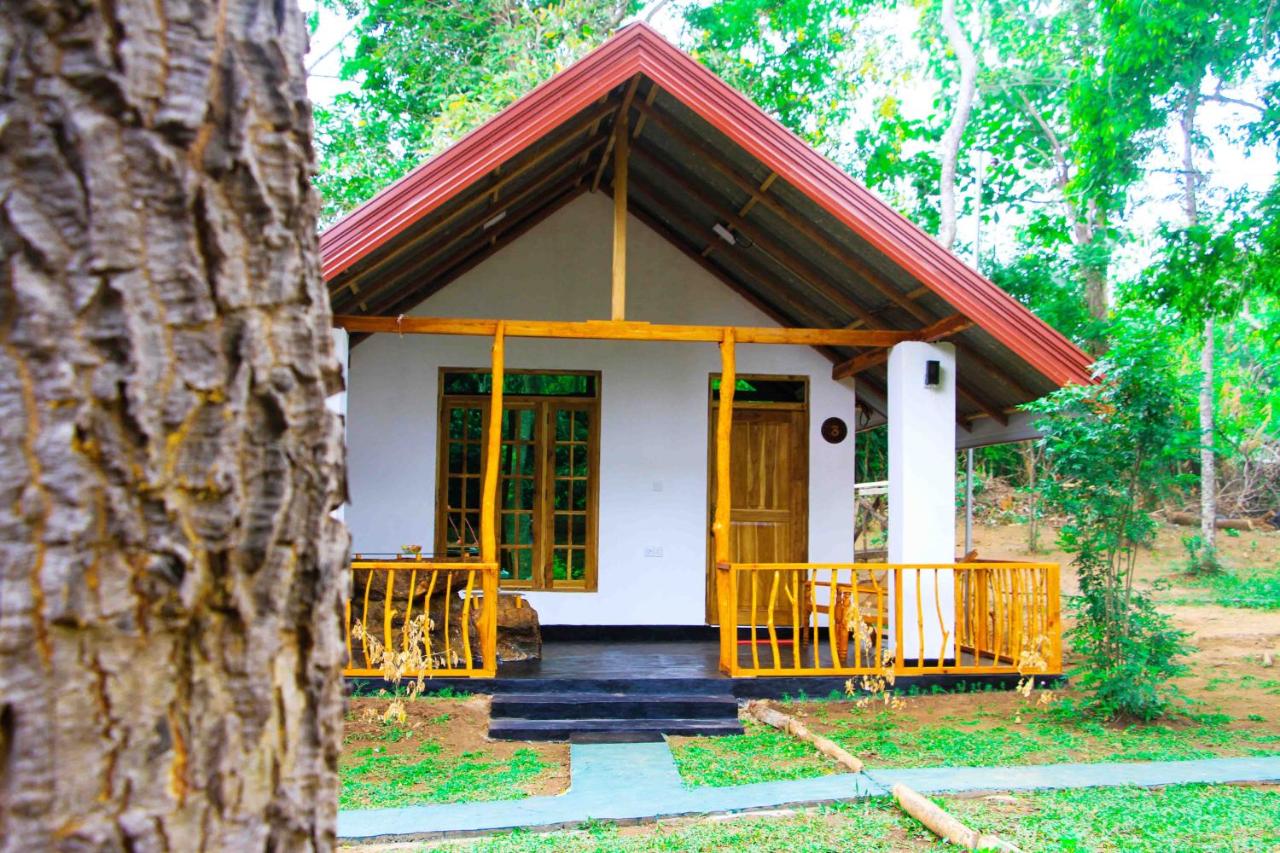 Habitación Doble Deluxe