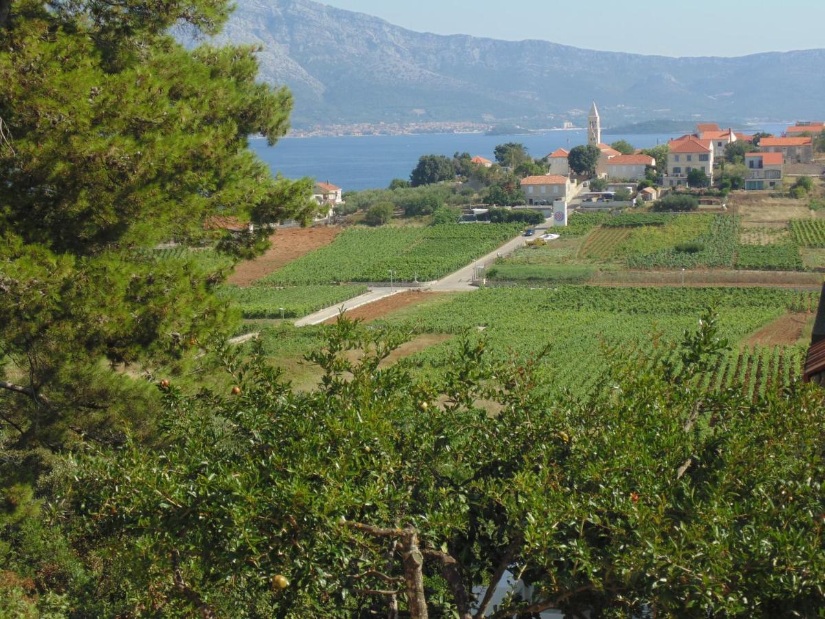 VILLA Apartments Mate Cebalo - B&B