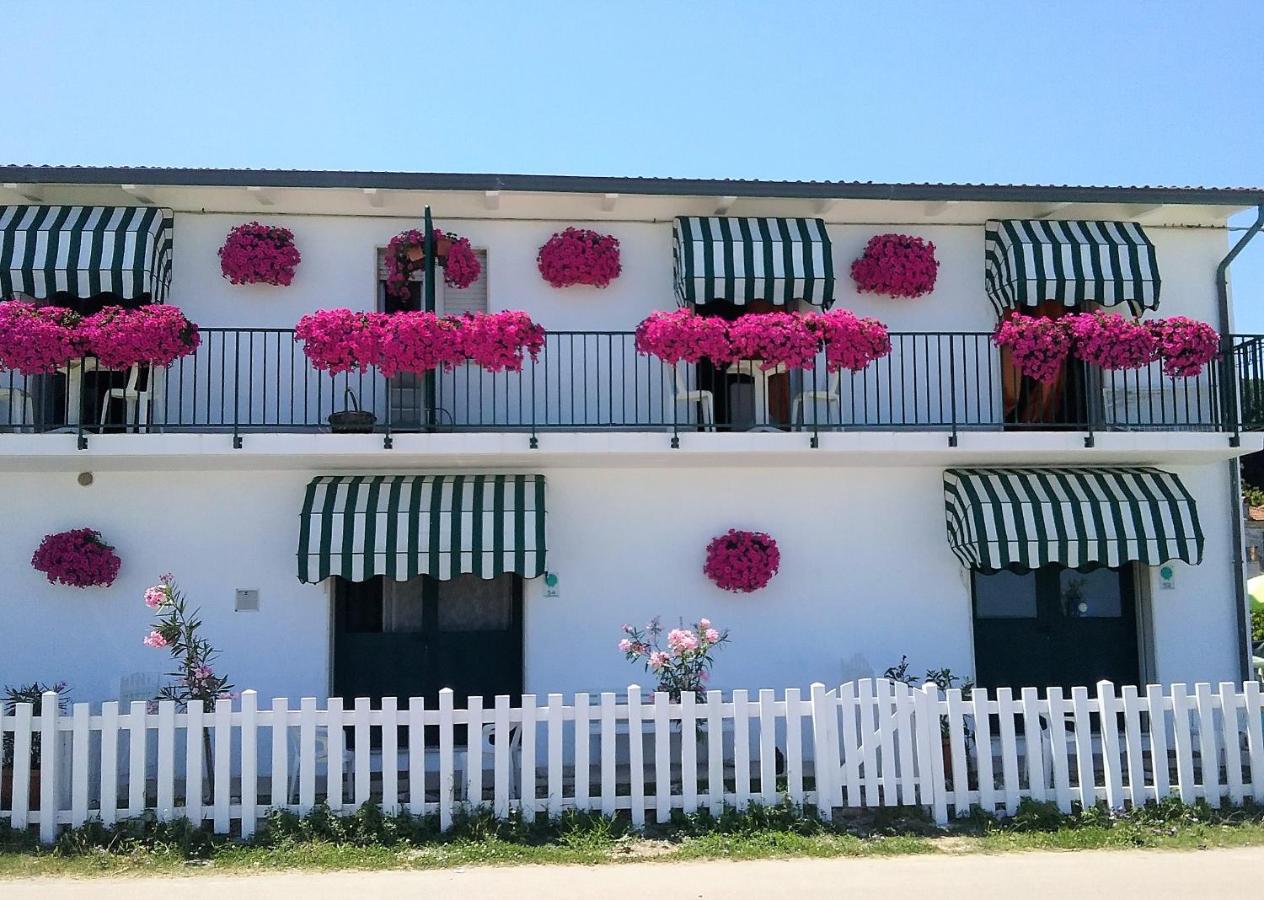 Villa Il Mio Paradiso - Ferienwohnung