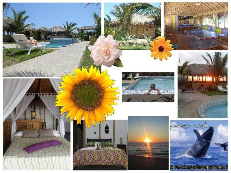 Bora Bora Bungalows - B&B Los Organos