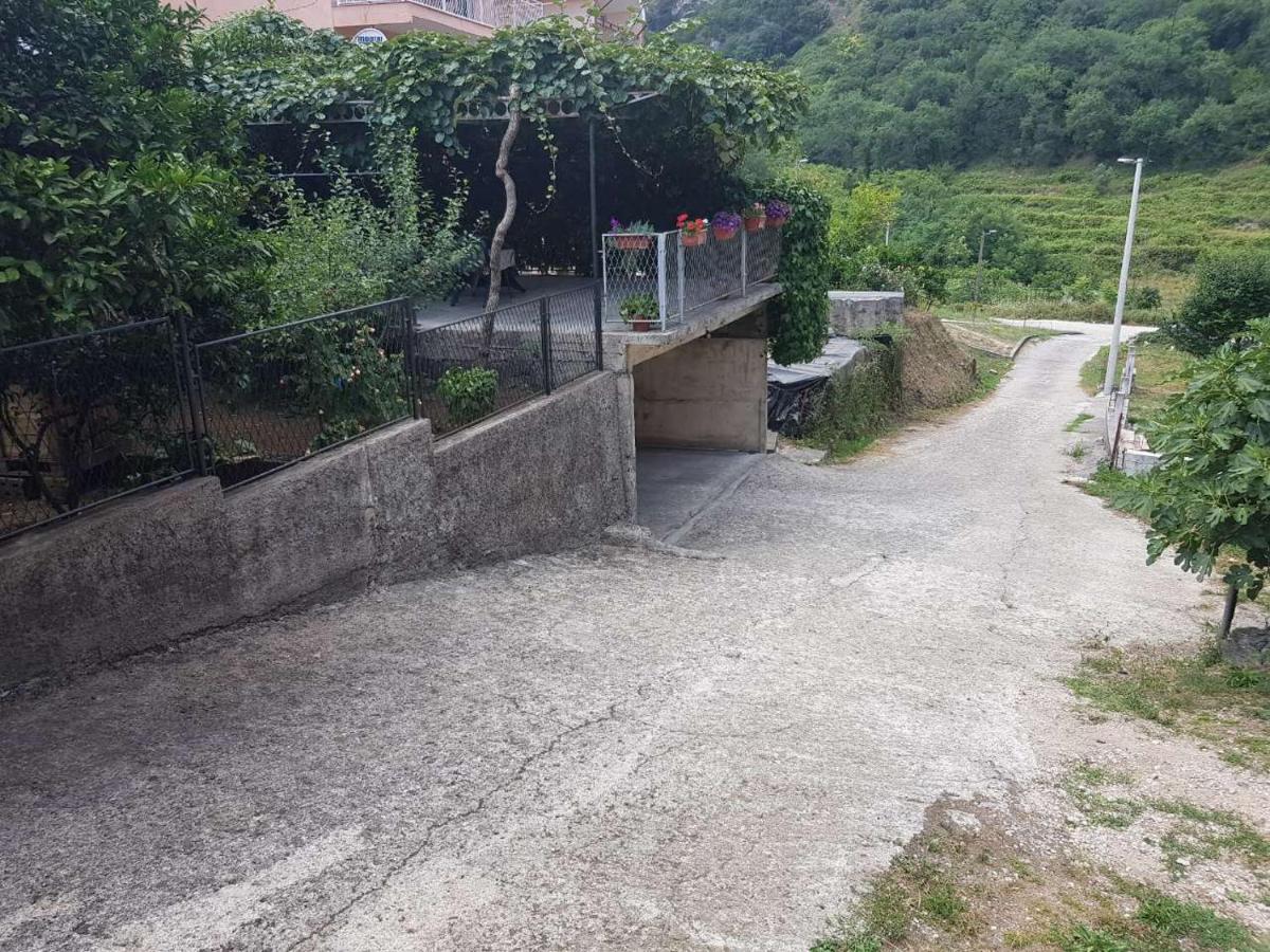Apartments Suzana - B&B
