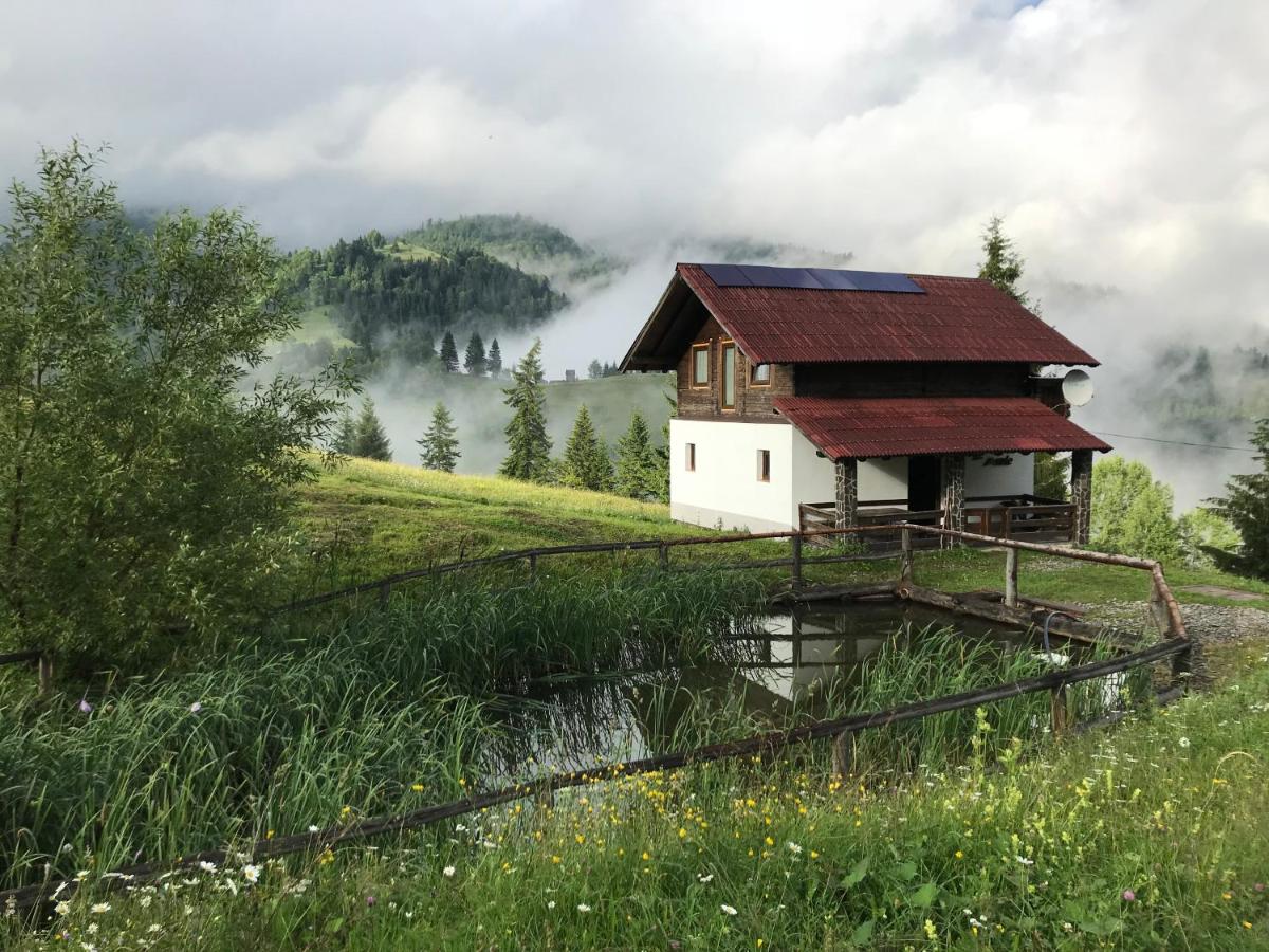 B&B Băile Borșa - La Cabana - Bed and Breakfast Băile Borșa