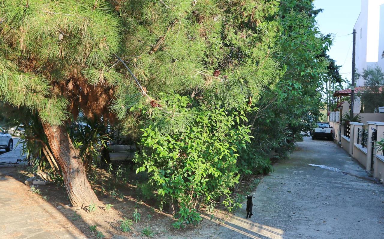 Elena 2 - B&B Kavala