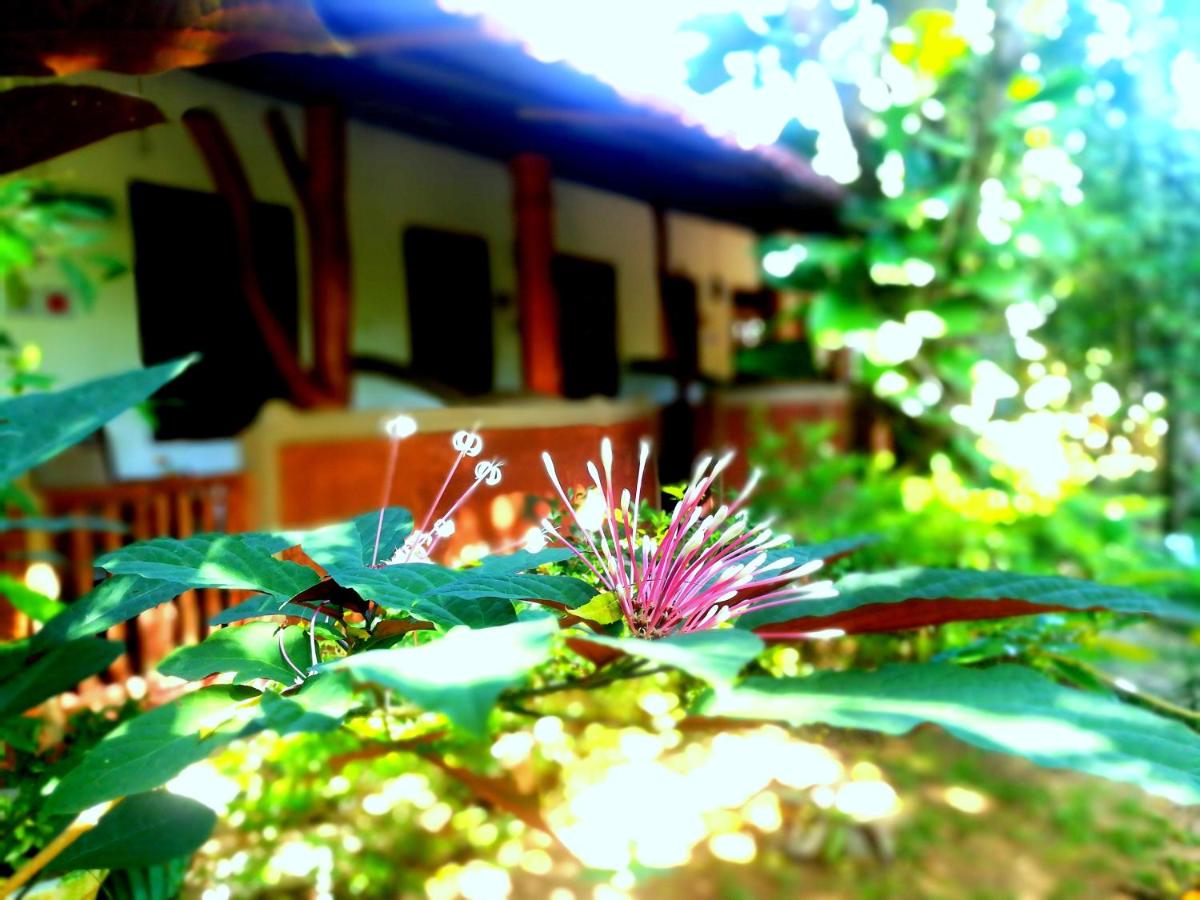 Sisira Homestay - Sigiriya - B&B Sigiriya