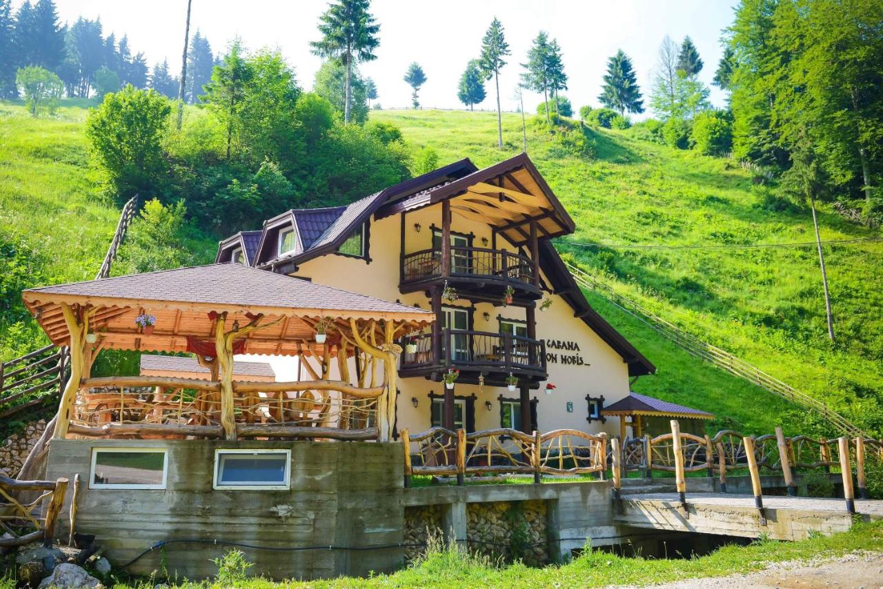 CASA Non Nobis Dambovicioara - B&B Dâmbovicioara