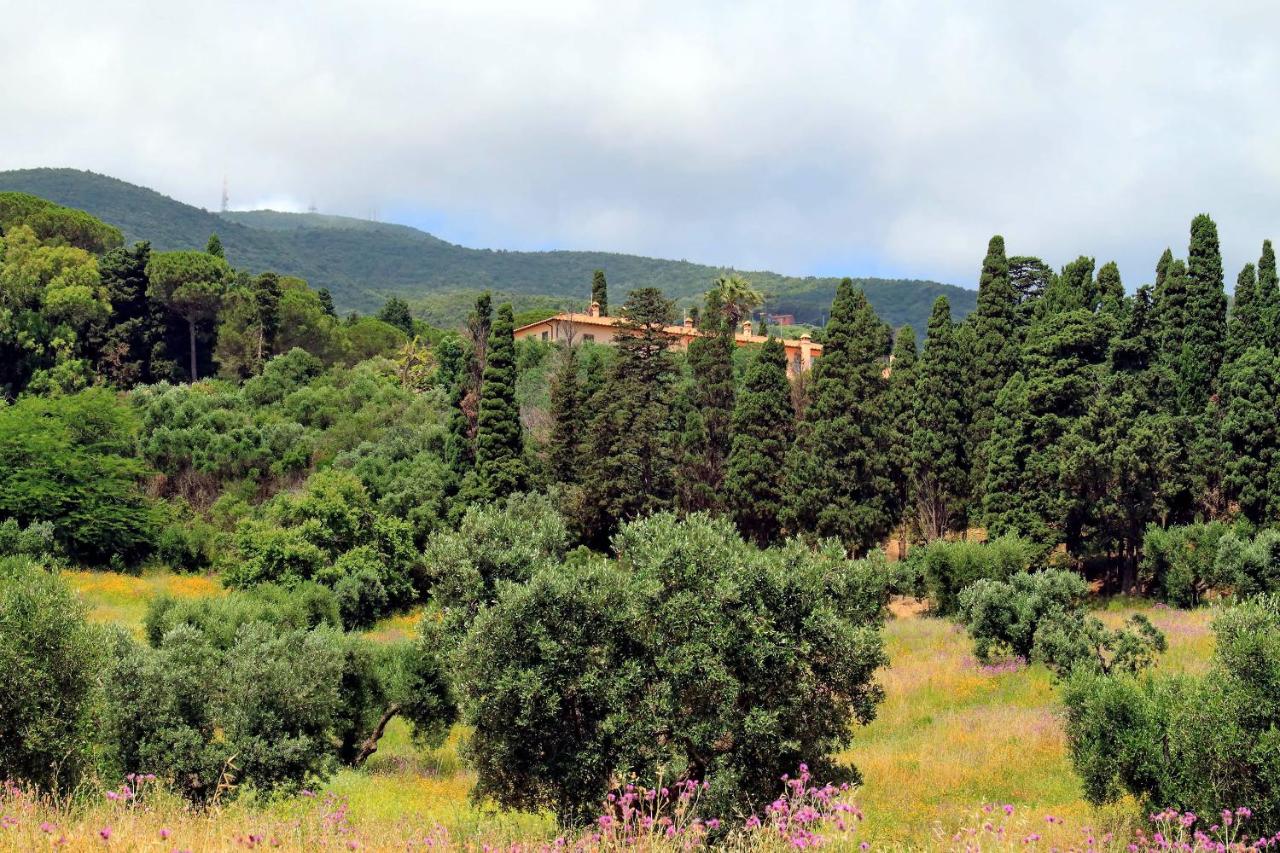 Agriturismo Pimpinnacolo - Ferienwohnung Porto Ercole