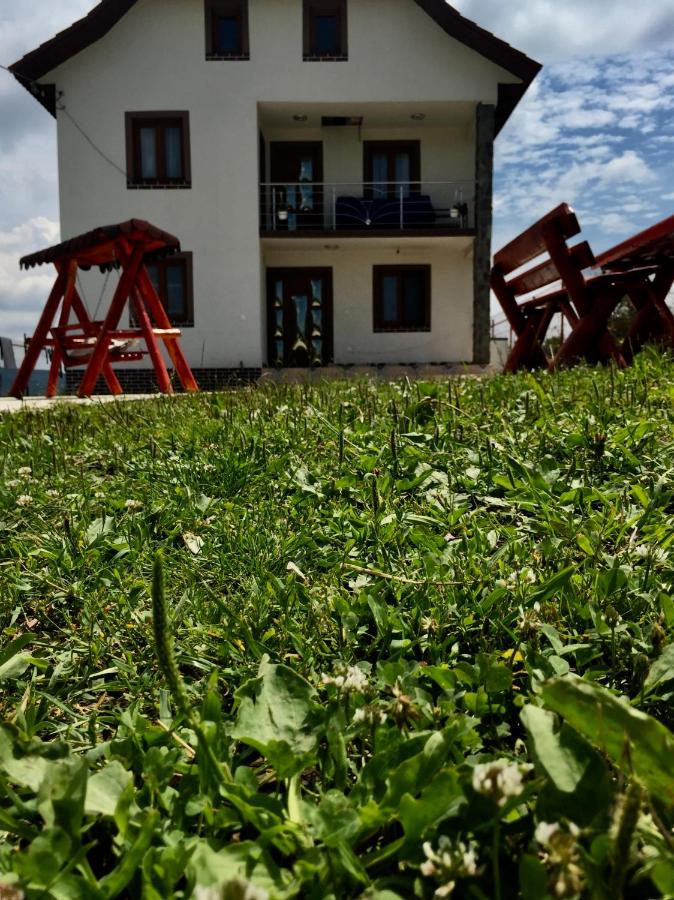 Pensiunea Diana - Bed and Breakfast