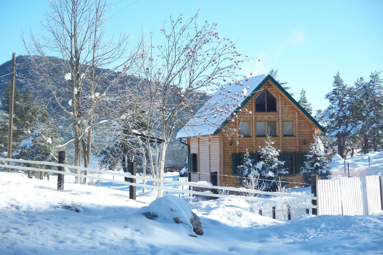Kuca u borju - House in pines - B&B