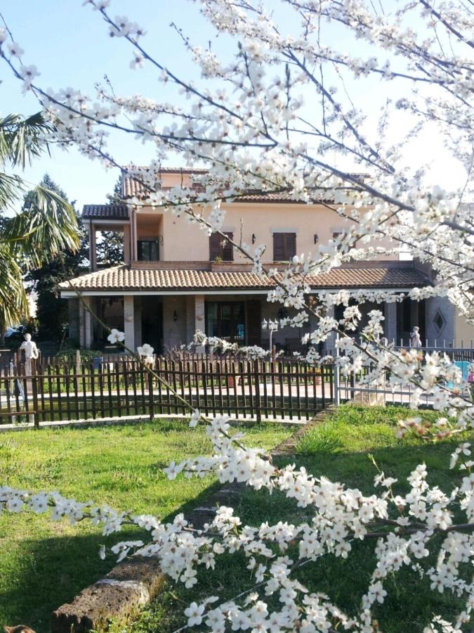 Luconi Affittacamere - Ferienwohnung