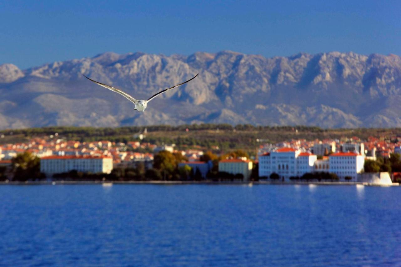 Bristol lux 3BR apartment with view - B&B Zadar