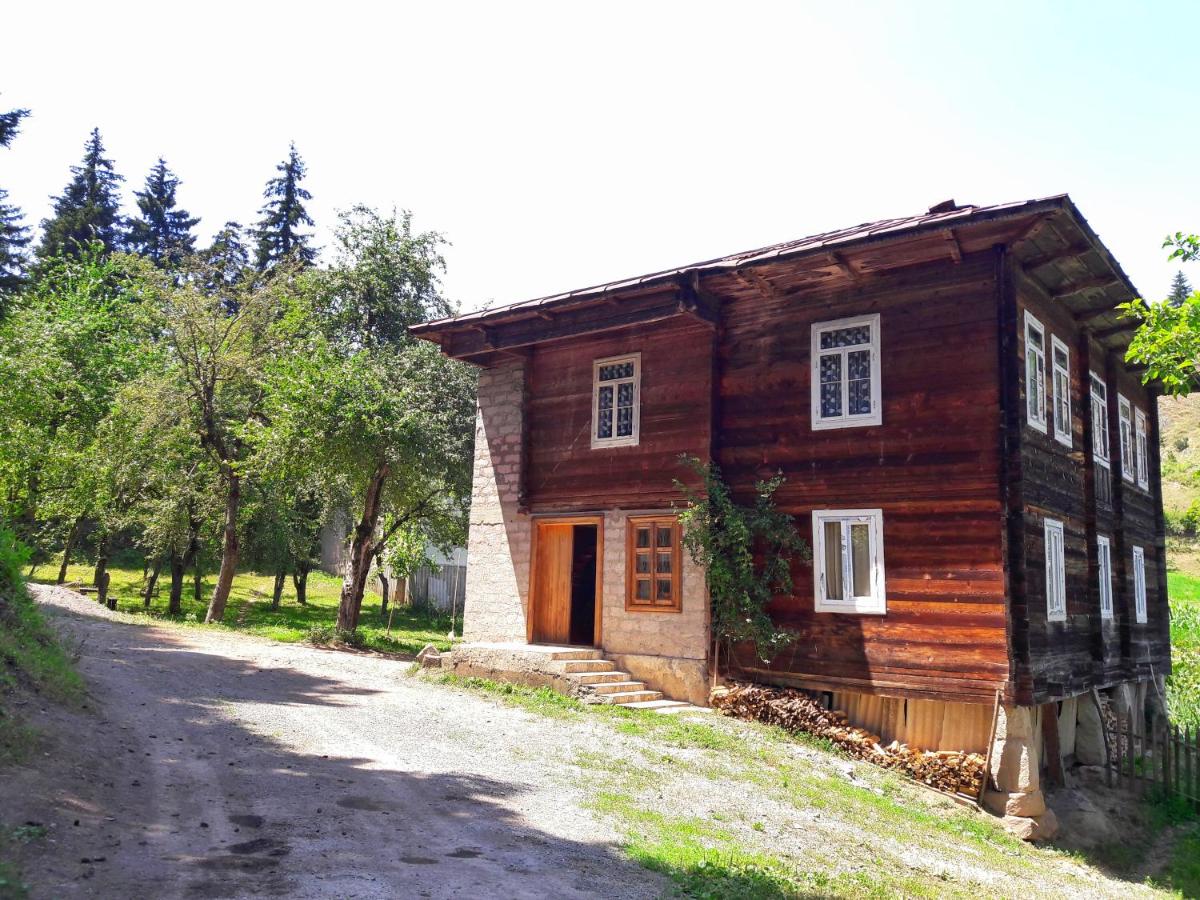 Farvana - B&B Didach’ara