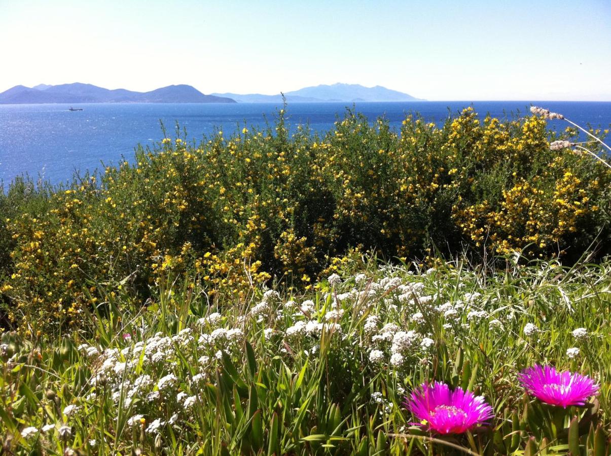 Cottage con Vista Giardino