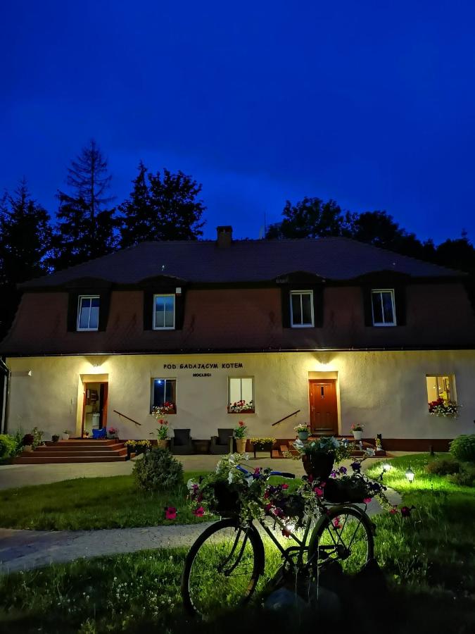 B&B Długopole-Zdrój - Pod Gadającym Kotem - Bed and Breakfast Długopole-Zdrój