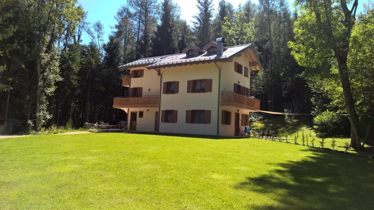 AL RANCH WELLNESS CADORE DOLOMITI APARTMENTS vicino Cortina Olimpiadi 2026 e Misurina Tre Cime Lavaredo - B&B