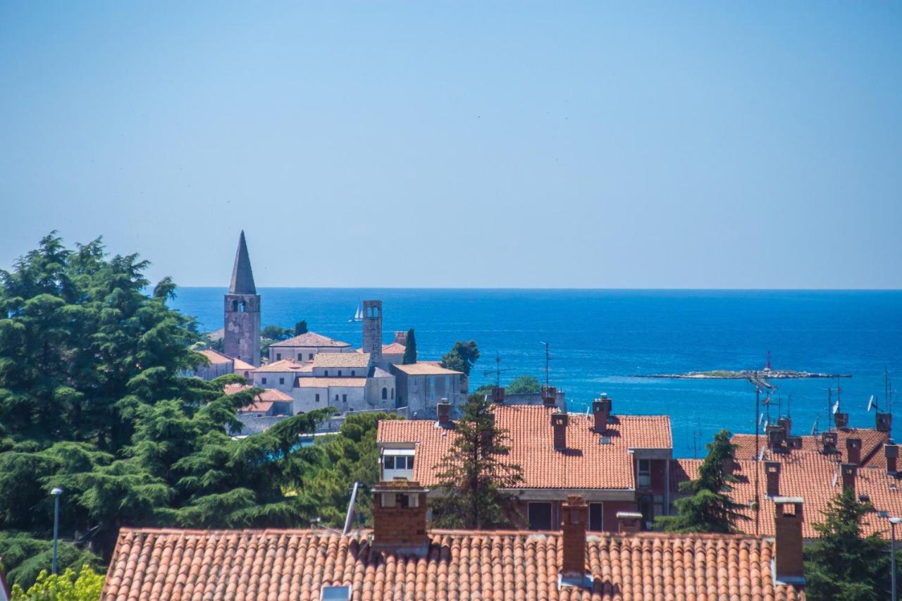 Superior Apartment Sincic - B&B