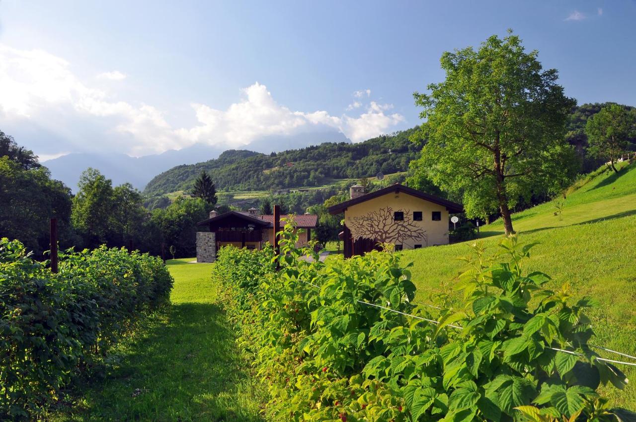 Quader nidi nel verde - B&B Bienno