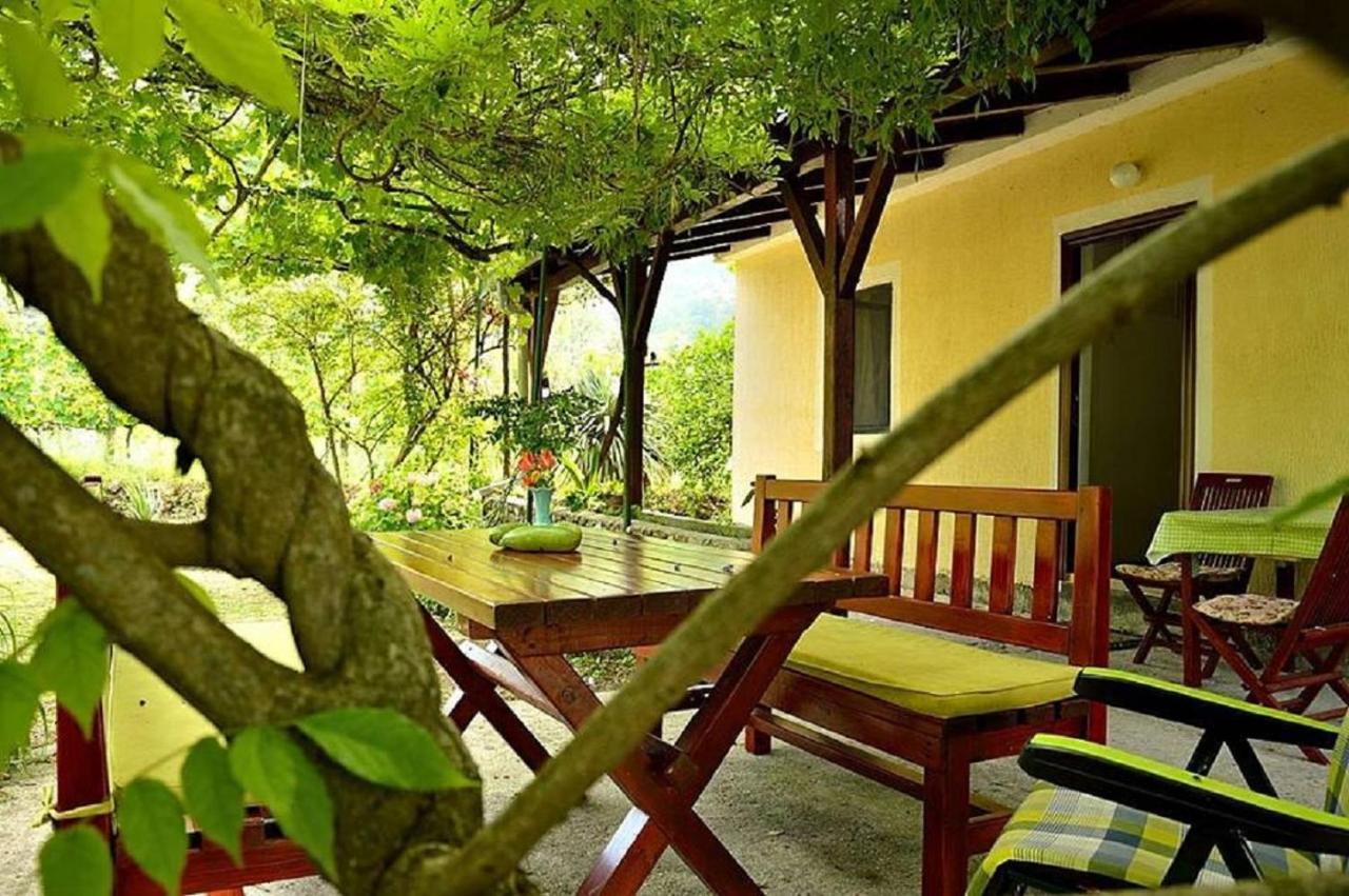 Ivan's Holiday Home - B&B Viro