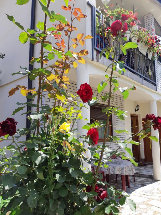 Emina - B&B