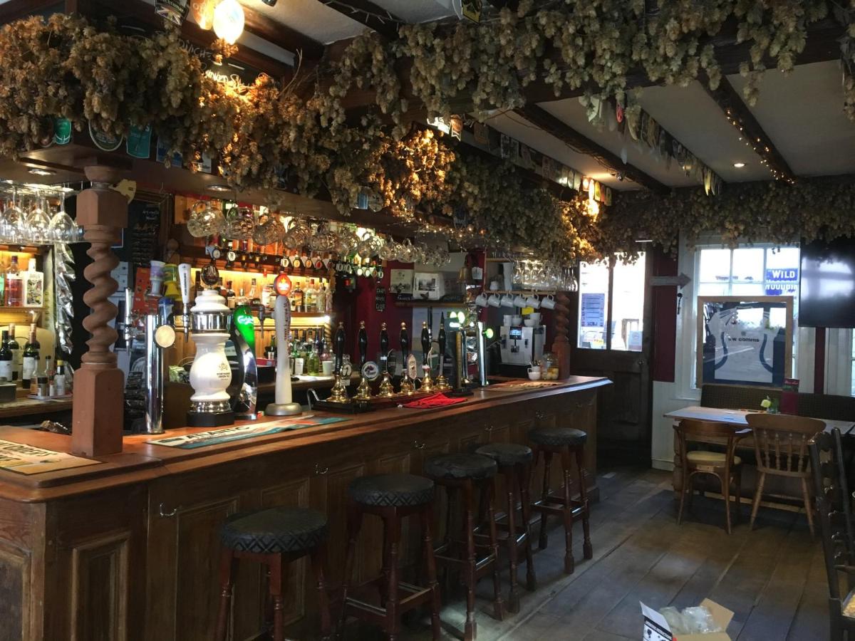 tiger inn - Ferienwohnung