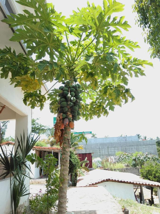 Casa de la Gente Nube - B&B