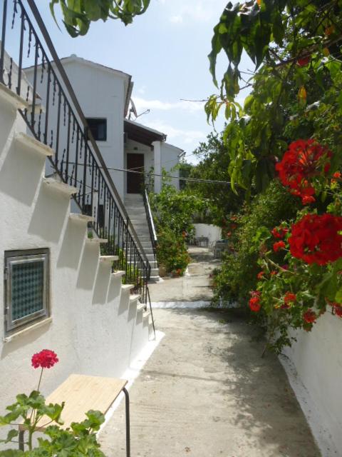 Appartement met Uitzicht op Zee