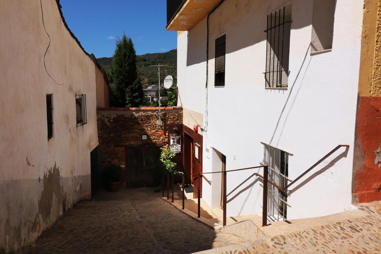 Apartment mit Terrasse