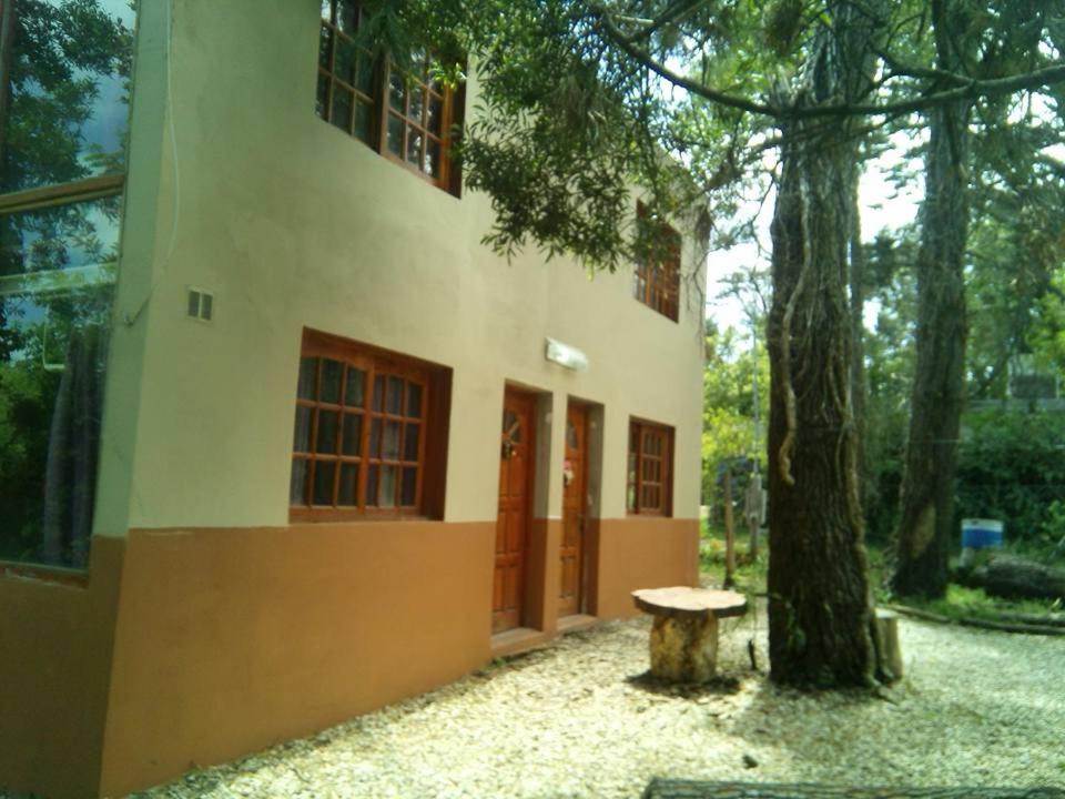Cabañas Paraiso Duplex 7 solo familias - Chambres d’hôtes Mar del Plata