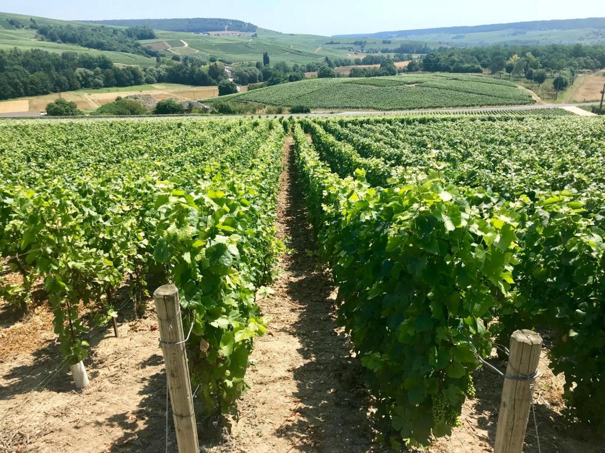 La Bulle de Champagne - B&B