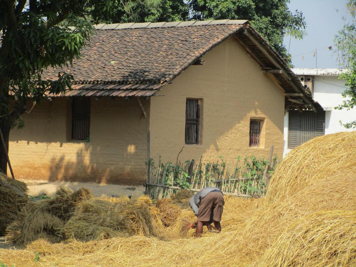 Bardiya Community Homestay - B&B