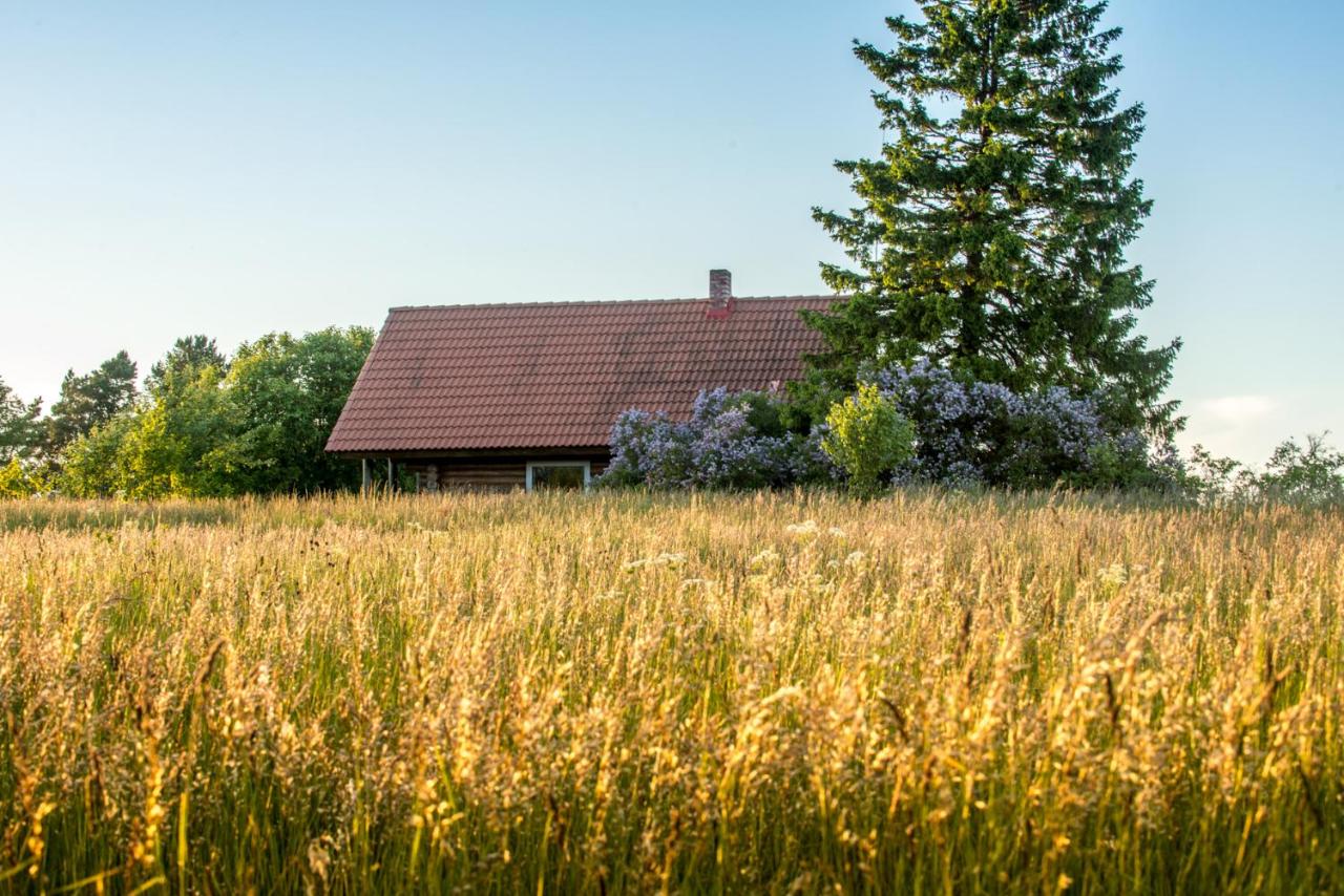 Northern Zen - Bed and Breakfast