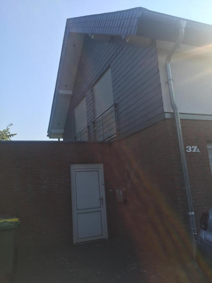 Apartment am Park - Ferienwohnung