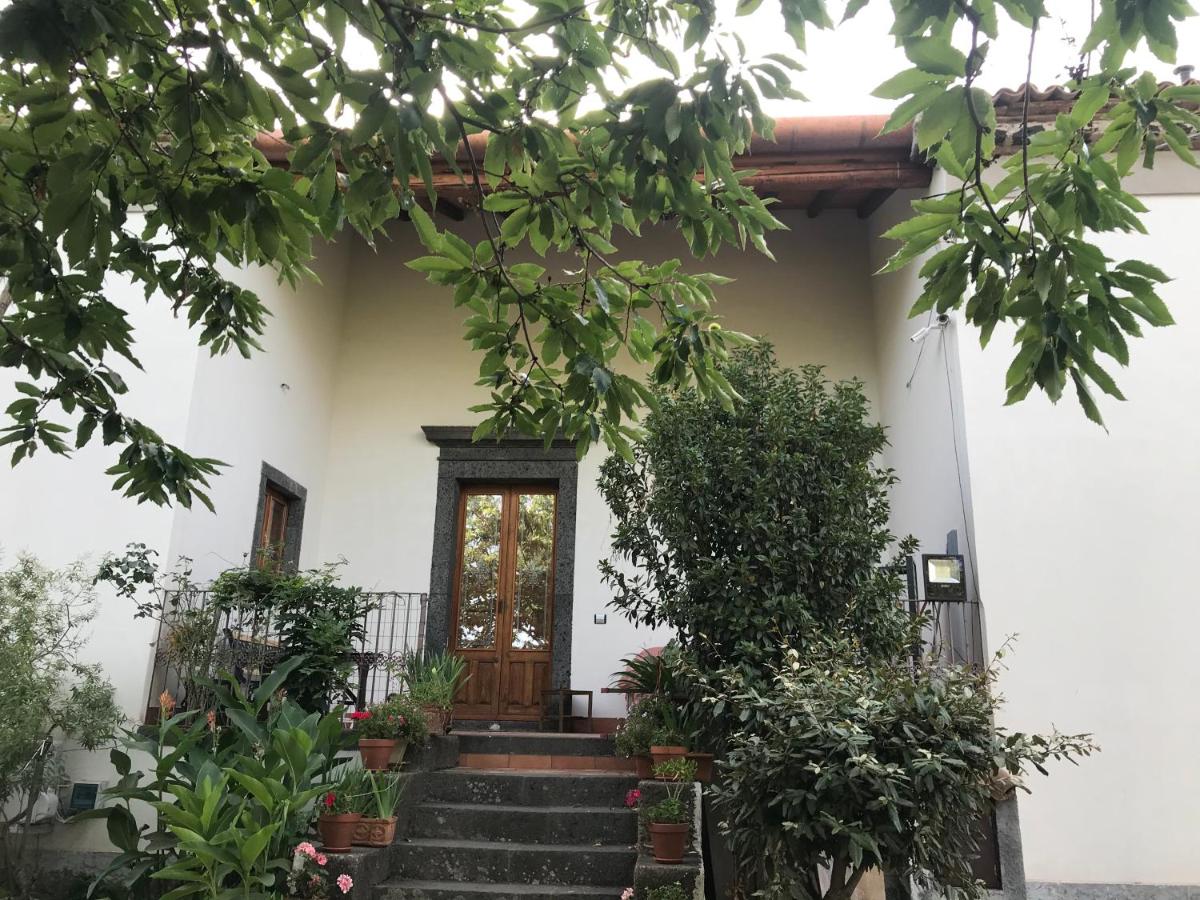 Agriturismo Sole di Sicilia - B&B Randazzo