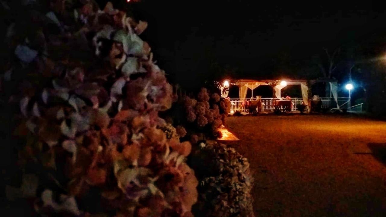 Colazione dei Canottieri - B&B Lago
