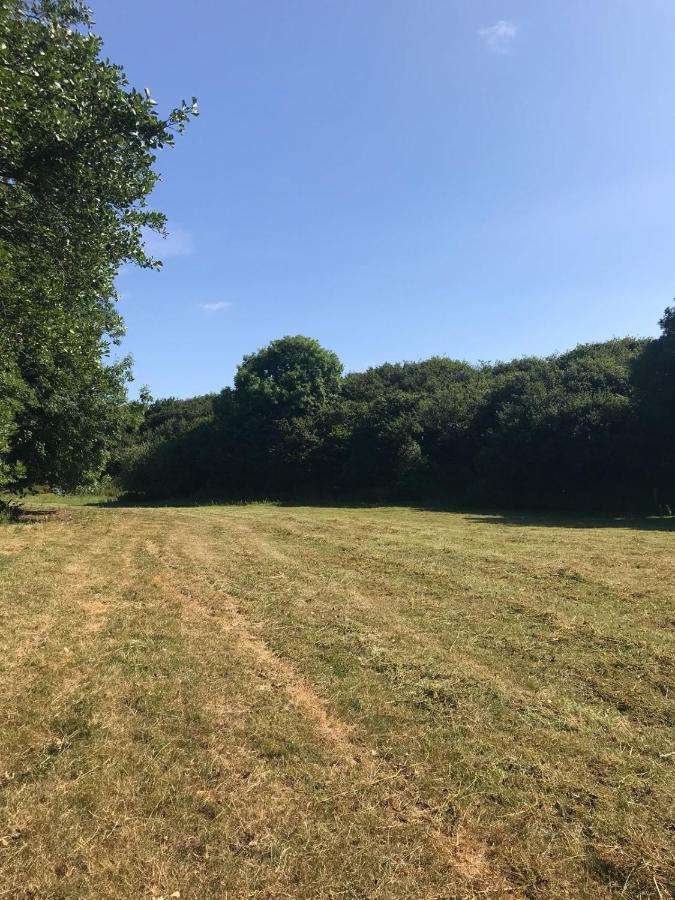 The Green Holiday Cottages - Ferienwohnung