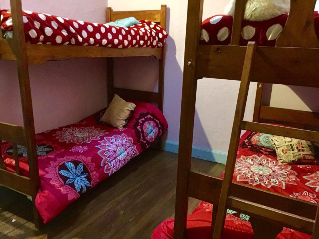 Bed in 4-Bed Dormitory Room