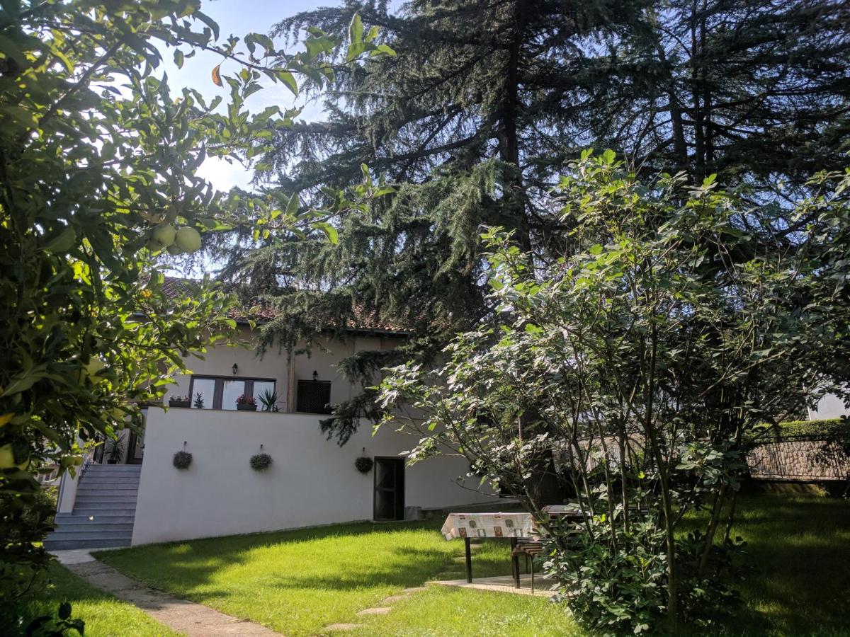 B&B Aranđelovac - Cvijićeva 1 - Bed and Breakfast Aranđelovac