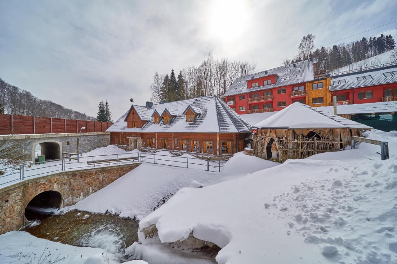 Chalupa Baba-jaga Žacléř - Bed and Breakfast Žacléř