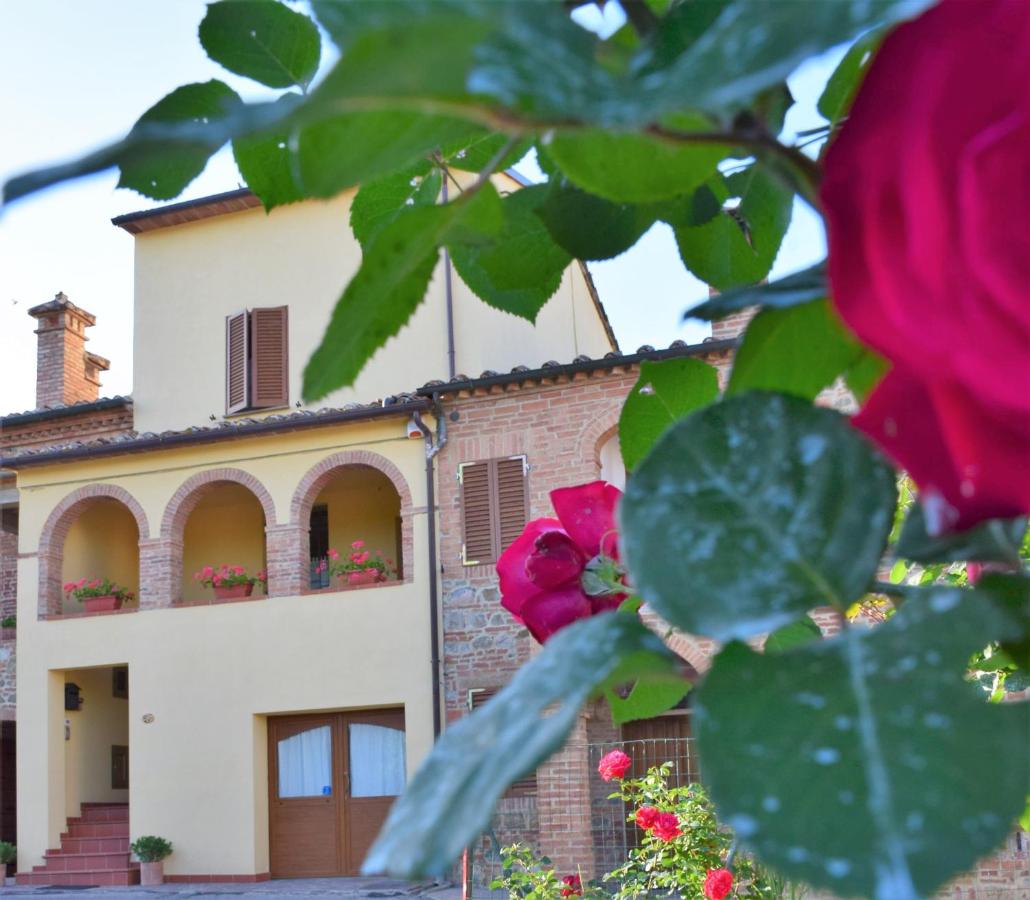 B&B Torrita di Siena - La Piccola Loggia - Bed and Breakfast Torrita di Siena