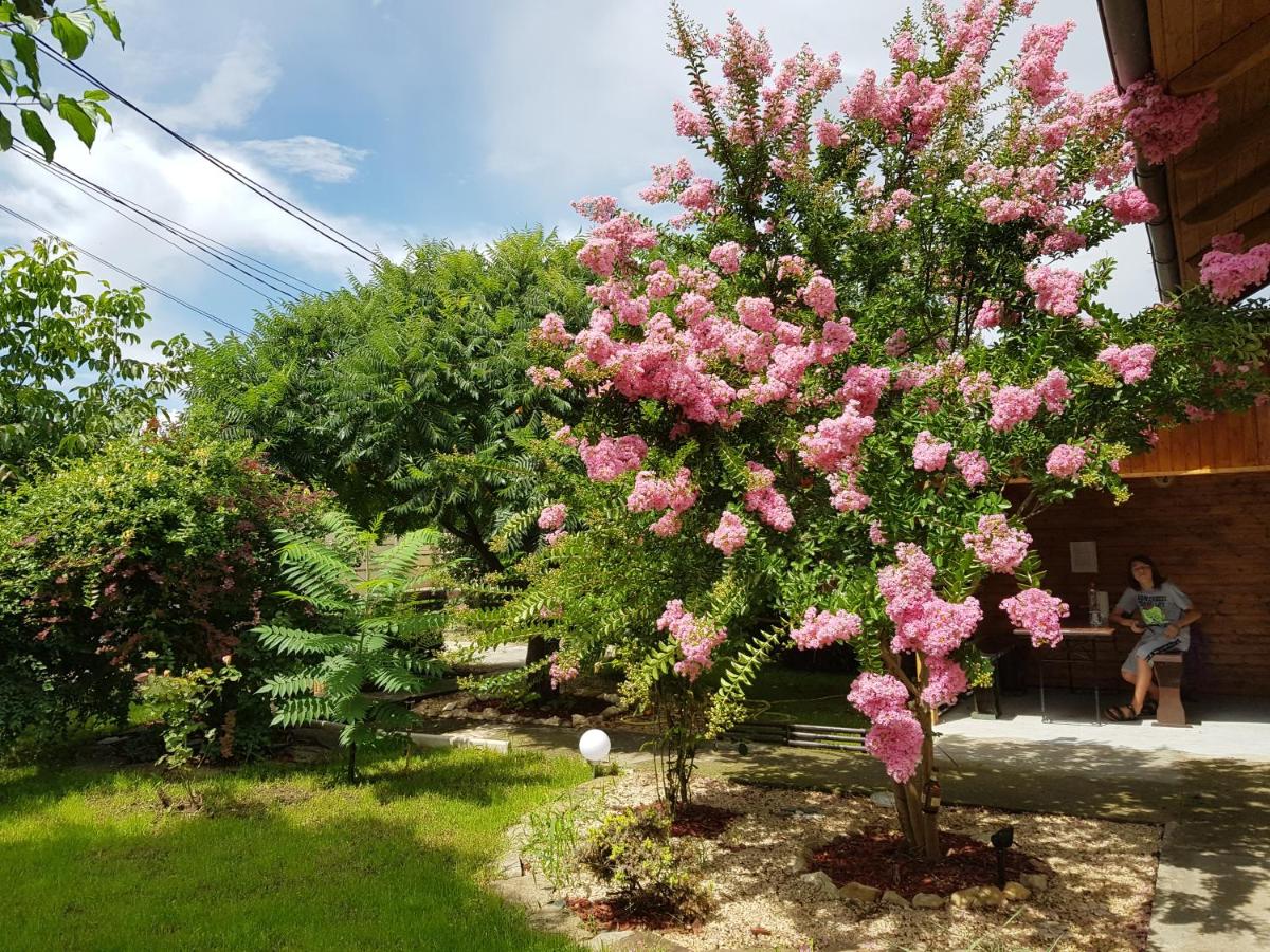 Casa la Petcu - B&B Costineşti